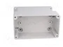 ELEKTRO-PLAST NASIELSK Carcasa Universal Industrial IP65 Gris