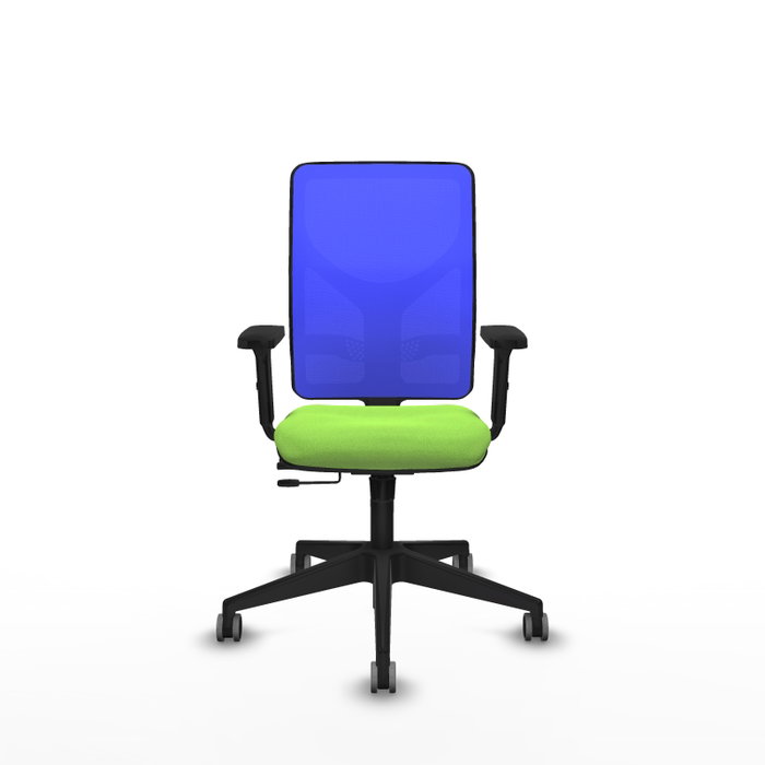 PIQUERAS Y CRESPO Silla de oficina Motilla con mecanismo Sincro/Traslack, Azul y Pistacho PIQUERAS Y CRESPO Silla de oficina Motilla con mecanismo Sincro/Traslack, Azul y Pistacho