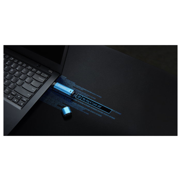 Kingston IronKey Vault Privacy 50 USB 3.2 Gen 1 256GB Cifrado AES-256 FIPS 197