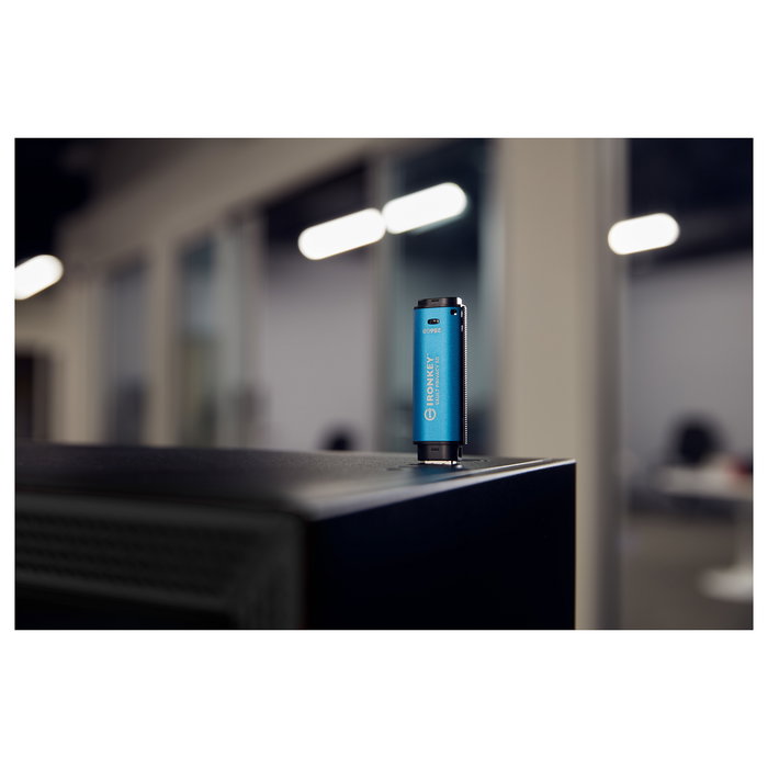 Kingston IronKey Vault Privacy 50 USB 3.2 Gen 1 256GB Cifrado AES-256 FIPS 197