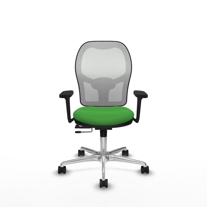 PIQUERAS Y CRESPO Silla de oficina Jorquera con mecanismo Sincro/Traslack, Verde y Blanco