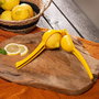 Quttin Exprimidor de Limones de Aluminio, 22 x 7.5 x 5 cm (24 Unidades)