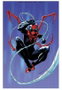 Panini España S.A. Spiderman Superior 05