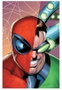 Panini España S.A. Spiderman Superior 05