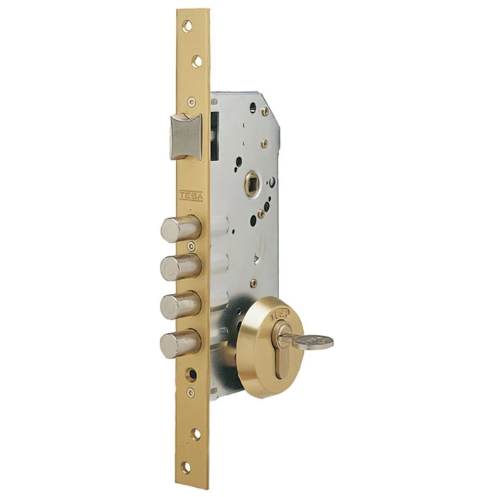 TESA Cerradura de Seguridad Monopunto R100B566E con Cilindro T60 TESA Cerradura de Seguridad Monopunto R100B566E con Cilindro T60