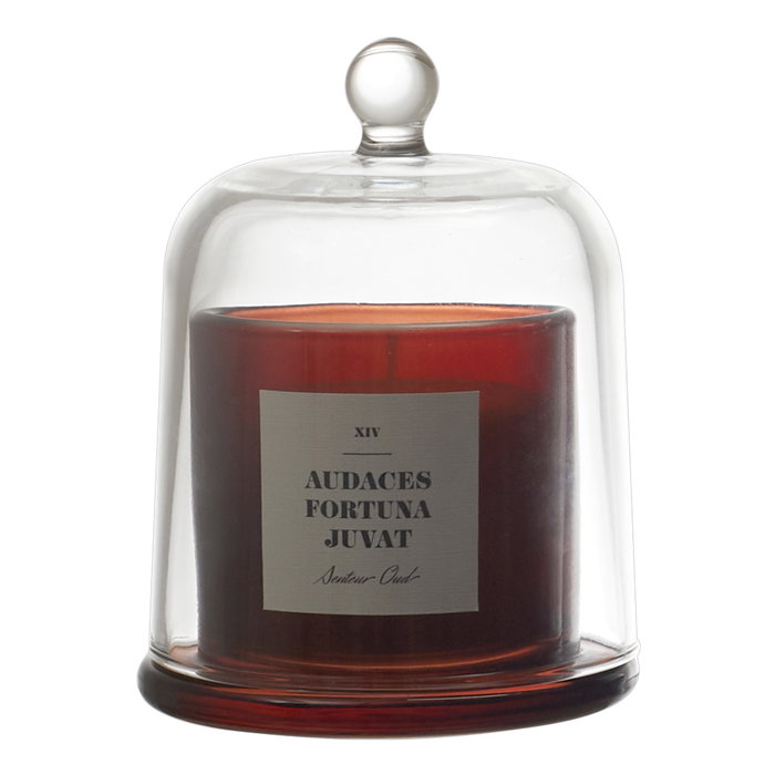 Home Deco Factory Vela Perfumada Con Campana de Vidrio Lounge - Aroma Surtido (Higos, Sándalo, Jazmín o Ámbar) - Cera 90g, Duración 14h - Ø8.5 x H11 cm