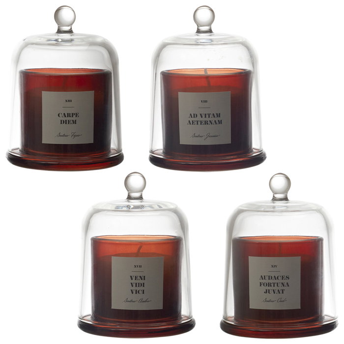 Home Deco Factory Vela Perfumada Con Campana de Vidrio Lounge - Aroma Surtido (Higos, Sándalo, Jazmín o Ámbar) - Cera 90g, Duración 14h - Ø8.5 x H11 cm