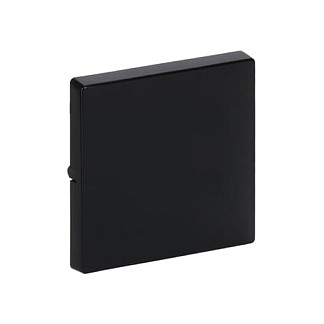 BUSCH-JAEGER Tapa para interruptores de conmutación, cruce o pulsadores future linear negro BUSCH-JAEGER Tapa para interruptores de conmutación, cruce o pulsadores future linear negro