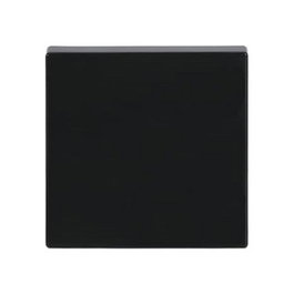 BUSCH-JAEGER Tapa para interruptores de conmutación, cruce o pulsadores future linear negro