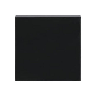 BUSCH-JAEGER Tapa para interruptores de conmutación, cruce o pulsadores future linear negro BUSCH-JAEGER Tapa para interruptores de conmutación, cruce o pulsadores future linear negro