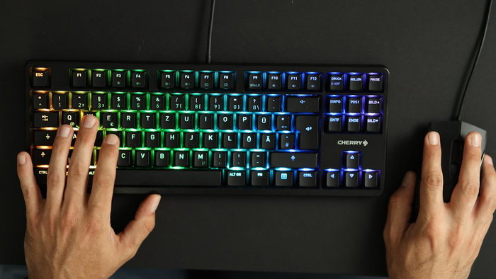Cherry Teclado G3833B G80-3833LWBDE-2 Negro