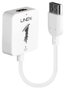 Lindy Adaptador HDMI a DisplayPort 4K 3840x2160 Blanco 38146