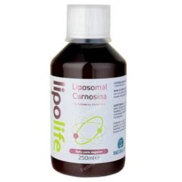 EQUISALUD Liposomal Carnosina 250ml Suplemento para el Mantenimiento Muscular Vegano