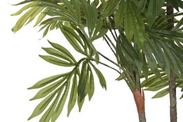 DKD Home Decor Planta Verde 60 x 165 x 60 cm (2 Unidades)