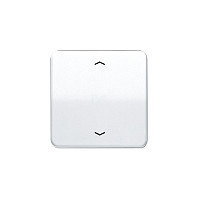Jung CD 590 P WW instabus Wippe con símbolo de flecha