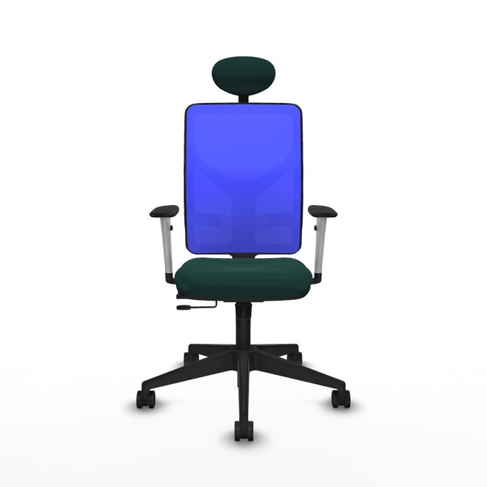 PIQUERAS Y CRESPO Silla de oficina Motilla con mecanismo Sincro/Traslack, Verde botella y Azul
