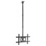 Vision Magic VFM-C6X4/V2 Soporte de Techo para Monitores de 20 a 75 pulgadas