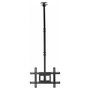 Vision Magic VFM-C6X4/V2 Soporte de Techo para Monitores de 20 a 75 pulgadas