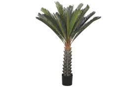 DKD Home Decor Planta Cycas Verde de 80x80x140 cm