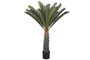 DKD Home Decor Planta Cycas Verde de 80x80x140 cm