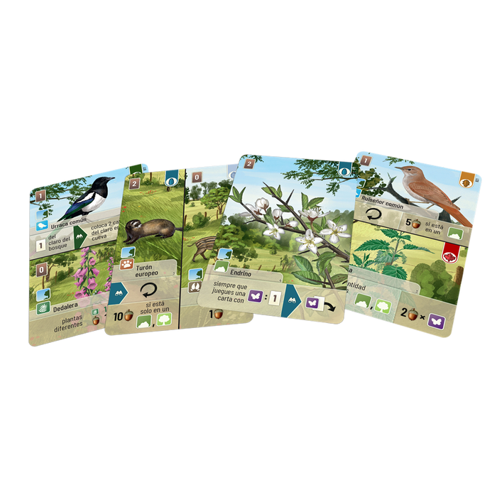Lookout Games Forest Shuffle Linde del Bosque Expansión Juego de Mesa Español