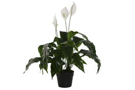 DKD Home Decor Planta Spathe Lirio Verde Blanco 40 x 75 x 40 cm (2 Unidades)
