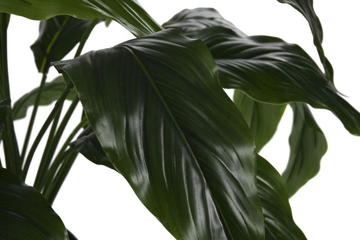 DKD Home Decor Planta Spathe Lirio Verde Blanco 40 x 75 x 40 cm (2 Unidades)