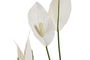 DKD Home Decor Planta Spathe Lirio Verde Blanco 40 x 75 x 40 cm (2 Unidades)
