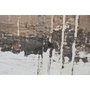 DKD Home Decor Cuadro Lienzo Técnica Mixta con Marco de Madera 123x4x183