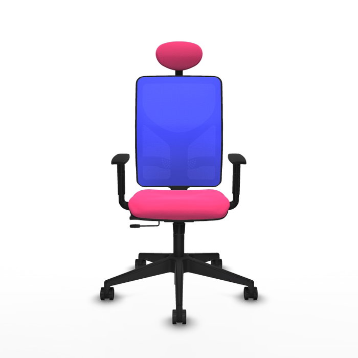 PIQUERAS Y CRESPO Silla de oficina Motilla con mecanismo Sincro/Traslack Rosa y Azul PIQUERAS Y CRESPO Silla de oficina Motilla con mecanismo Sincro/Traslack Rosa y Azul