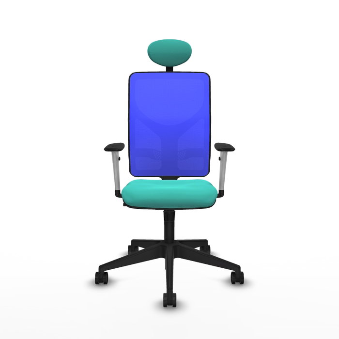 PIQUERAS Y CRESPO Silla de oficina Motilla con mecanismo Sincro, Turquesa y Azul PIQUERAS Y CRESPO Silla de oficina Motilla con mecanismo Sincro, Turquesa y Azul