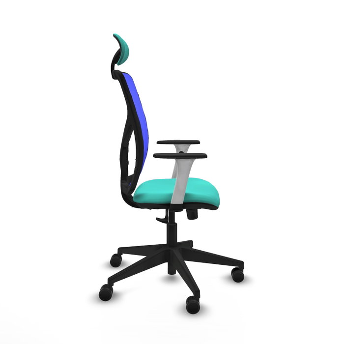 PIQUERAS Y CRESPO Silla de oficina Motilla con mecanismo Sincro, Turquesa y Azul PIQUERAS Y CRESPO Silla de oficina Motilla con mecanismo Sincro, Turquesa y Azul
