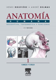 MASSON EDITORIAL Anatomia humana descriptiva topografica funcional: cabeza y cuello