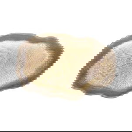 Summa Fuente Caracola de Gres, Diseño Mar Arena - 29.5x19 cm (Set de 6)