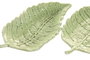 DKD Home Decor Bandeja Vaciabolsillos de Cerámica Verde Surtido de 2
