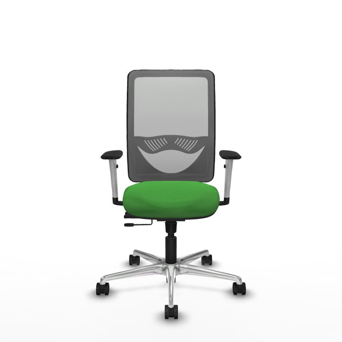 PIQUERAS Y CRESPO Silla de oficina Zulema Verde con Malla Gris PIQUERAS Y CRESPO Silla de oficina Zulema Verde con Malla Gris