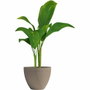 Garden Id Maceta Green Care Impact Taupe 30 x 26 cm