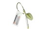DKD Home Decor Guirnalda Verde 0.3 x 180 x 6 cm (6 Unidades)