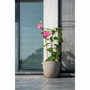 Garden Id Maceta Phoenix Taupe 38 x 34 cm
