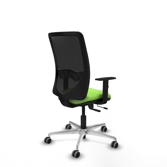 PIQUERAS Y CRESPO Silla de oficina Zulema con mecanismo Sincro/Traslack, Pistacho y Negro PIQUERAS Y CRESPO Silla de oficina Zulema con mecanismo Sincro/Traslack, Pistacho y Negro