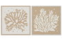 DKD Home Decor Cuadro Papel Mache PS 50x3x50 Coral Surtido 2