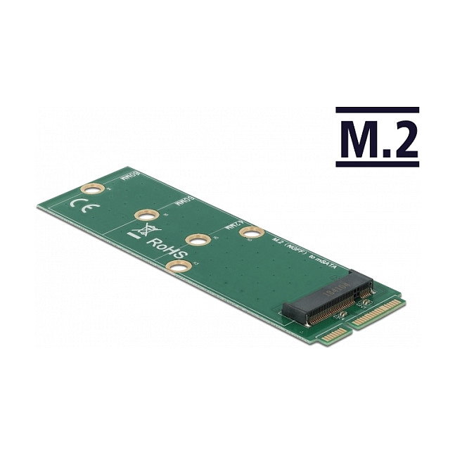 DeLOCK Adaptador mSATA a Ranura M.2 Key B