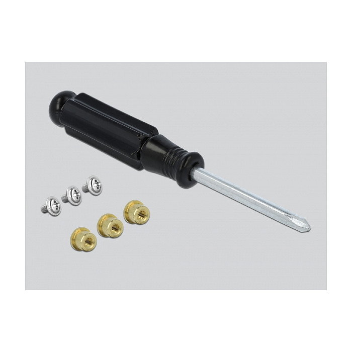 DeLOCK Adaptador mSATA a Ranura M.2 Key B