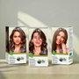 Naturtint Tinte sin Amoniaco #6A Rubio Oscuro Ceniza 170 ml Coloración Permanente