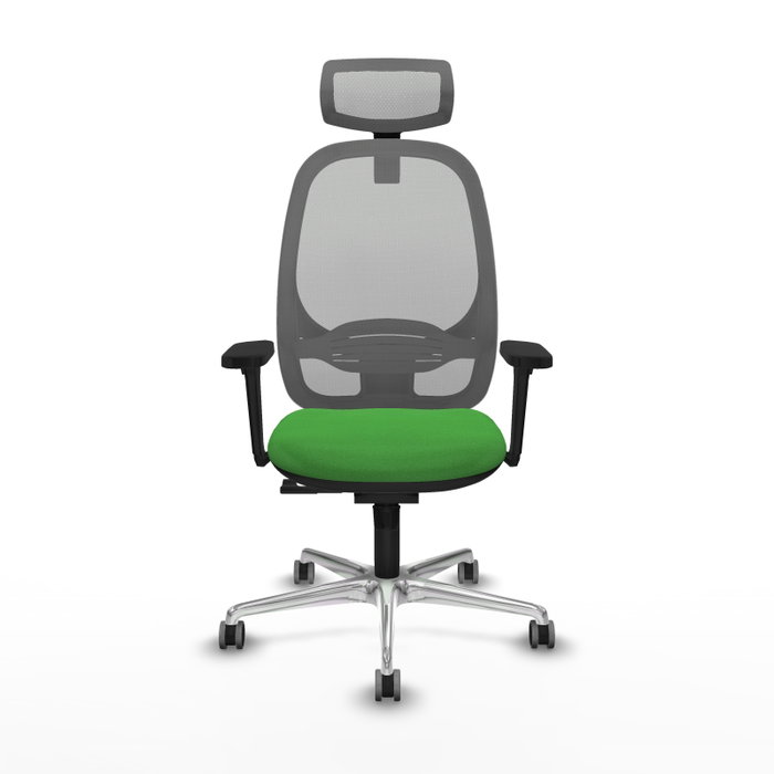 PIQUERAS Y CRESPO Silla de oficina Cilanco con mecanismo Sincro, Verde y Gris