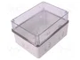ELEKTRO-PLAST NASIELSK CARBO-BOX Caja de conexiones gris claro con tapa transparente