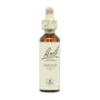 BACH Vervain (Verbena) Nº31 20ml