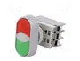 SPAMEL Interruptor Doble de 22mm con LED Rojo/Verde