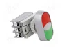 SPAMEL Interruptor Doble de 22mm con LED Rojo/Verde