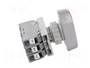 SPAMEL Interruptor Doble de 22mm con LED Rojo/Verde